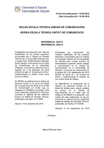 BOLSA ESCALA TECNICA UNIDAD DE COMUNICACION BORSA