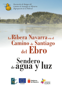 Sendero - Amigos Camino Santiago ( Navarra )