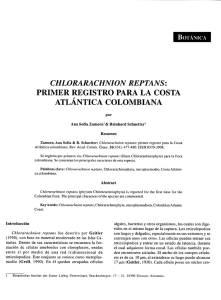 Page 1 BOTÁNICA CHILORARACHINION REPTANS: PRIMER