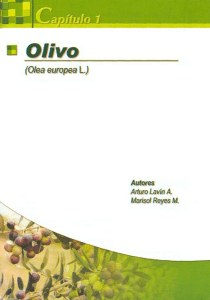 Page 1 = Olivo (Olea europea L.) Autores Arturo Lavín A. Mariso