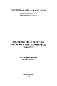 Salitre de chile apertura inversión y mercado