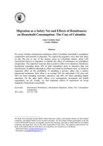 Migration as a Safety Net and Effects of Remittances on Household