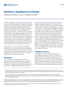 Ehrlichia y Anaplasma en Florida1 - EDIS