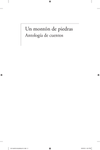 Un mont&oacute;n de piedras