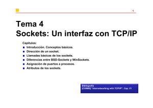 Tema 4 Sockets: Un interfaz con TCP/IP