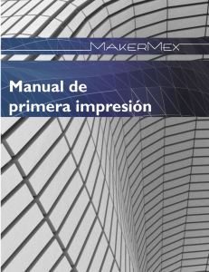 Paso - MakerMex