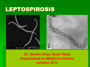 Aspectos clínicos y tratamiento de la leptospirosis