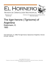 The tiger-herons (Tigrisoma) of Argentina