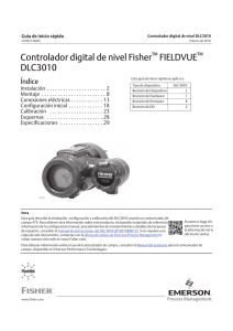 Controlador digital de nivel Fisher FIELDVUE DLC3010