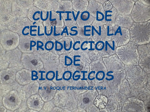 Tecnología de cultivos celulares en investigación - BVS-INS