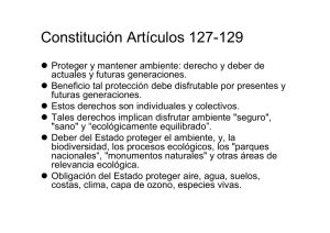 Constitución Artículos 127-129