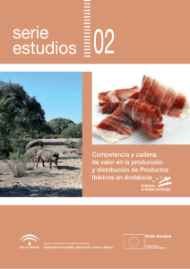 serie estudios 02 - Junta de Andalucía