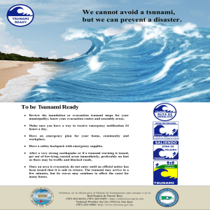 We cannot avoid a tsunami, but we can prevent a disaster.