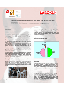 pll (primary lens luxation) de origen genético en bull terrier miniatura.