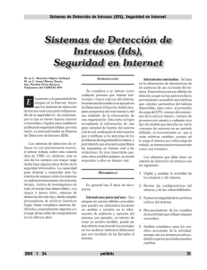 Sistemas de Detección de Intrusos (Ids), Seguridad en Internet