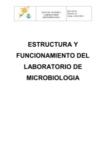 Estructura y Funcionamiento del Laboratorio de Microbiología