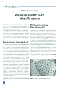 Metodos anticonceptivos y bacteriuria por E. coli