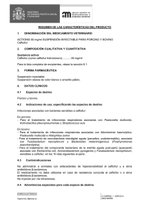 Ficha técnica Actionis ( 127.1 KB )