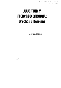 JUUEnTUD y mERCRDO lRBORRl: Brechas y Barreras