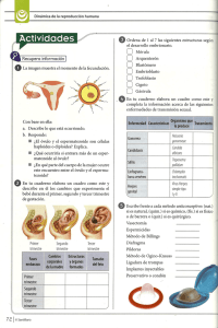 taller desarrollo embrionario