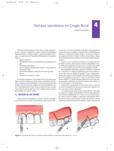 Tiempos operatorios en Cirugía Bucal