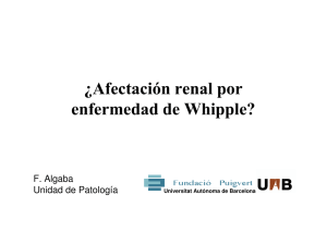 ¿Afectación renal por enfermedad de Whipple?