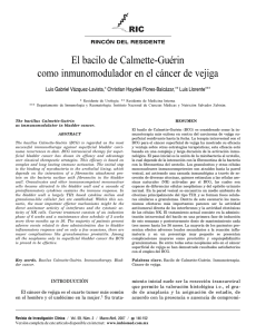 El bacilo de Calmette-Guérin como inmunomodulador en el cáncer