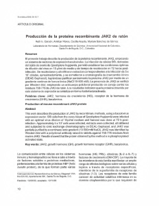 Producción de la proteína recombinante JAK2 de ratón