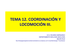 tema 12. coordinación y locomoción iii.