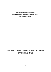 TÉCNICO EN CONTROL DE CALIDAD (NORMAS ISO)