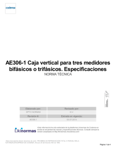 AE306-1 Caja vertical para tres medidores bifásicos o trifásicos
