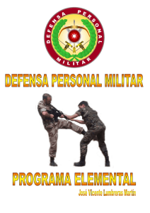 Defensa Personal Militar, Programa Elemental