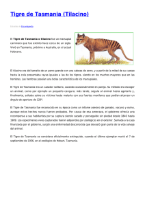 Tigre de Tasmania (Tilacino)