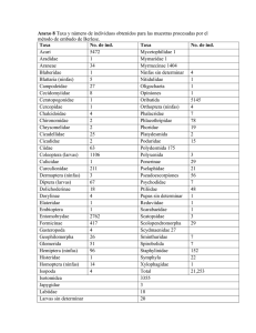 Anexo 8 Taxa y número de individuos obtenidos para las muestras