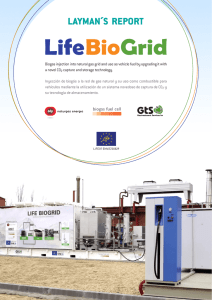 Biogas injection into natural gas grid and use as vehicle fuel by