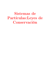 Leyes de conservacion
