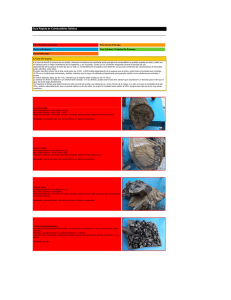 Guía de combustibles para chimeneas