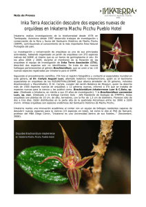 Inka Terra Asociación descubre dos especies nuevas de orquídeas