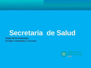 Presentación de PowerPoint - Municipio de Bahía Blanca