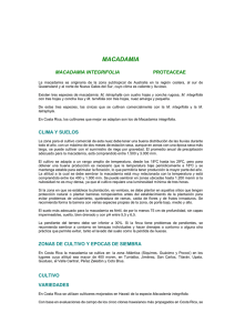 macadamia - Ministerio de Agricultura y Ganadería