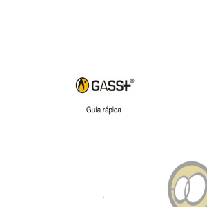 Manual GASS+