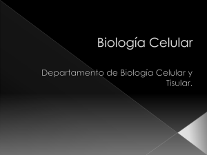 Biología Celular - Facultad de Medicina
