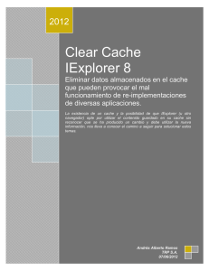 Clear Cache IExplorer 8