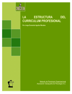 la estructura del curriculum profesional