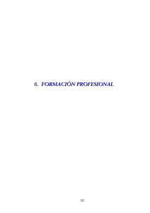 6. FORMACIÓN PROFESIONAL