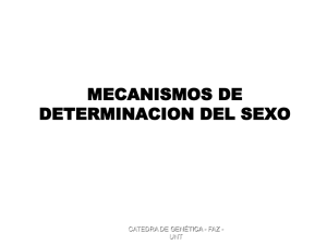 MECANISMOS DE DETERMINACION DEL SEXO