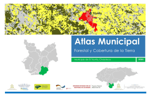 0606 El Triunfo Atlas Forestal Municipal