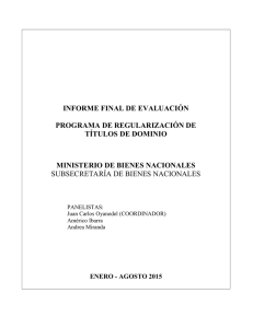 informe final de evaluación programa de regularización de