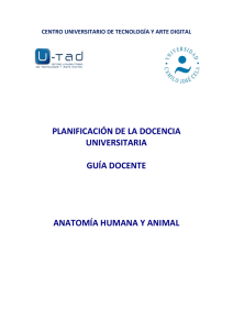 Anatomía Humana y Animal - U-tad