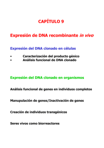 Expresión de DNA recombinante in vivo CAPÍTULO 9 - U